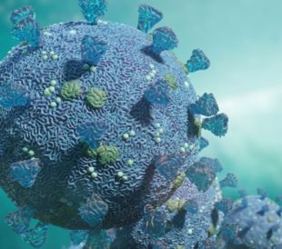 A graphic of SARS-CoV-2