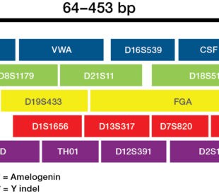 A graphic shows the Marker positioning of the VeriFiler Plus kit