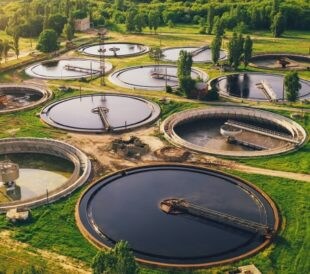 Wastewater ponds are useful for epidemiology