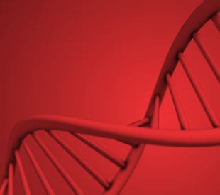 Biobanks in Northern Europe and the Future of Predictive Genomics