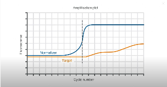 figure 2 early amplification of endogenous control resulting in poor amplification of target gene