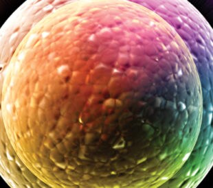 Flow cytometry panels