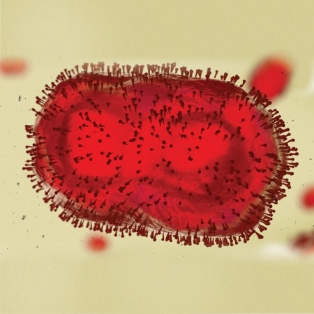 Sequencing the monkeypox genome