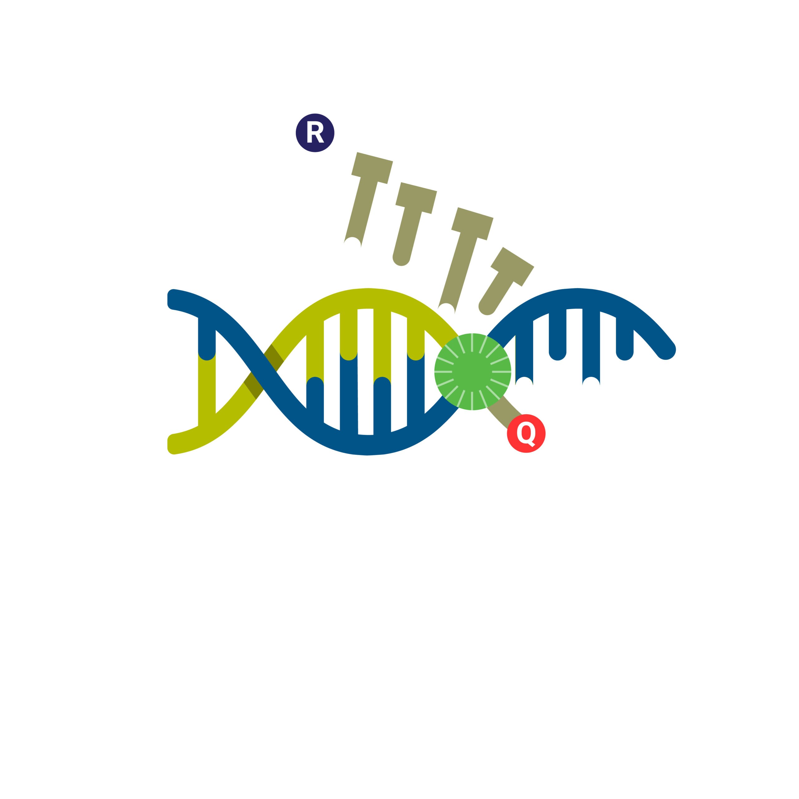 Taq polymerase graphic