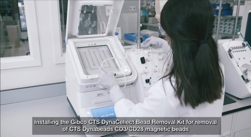 cell therapy manufacturing video