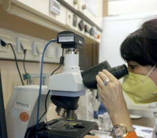 Dr. Mechtcheriakova looks through a microscope