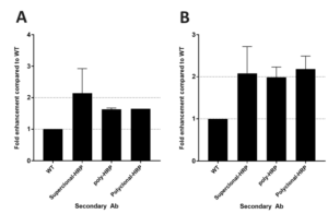Bar graph analysis of western blot data obtained from Parkin (A) and OCT4 (B) Recombinant Rabbit Monoclonal Antibody (Product # 740019R and 740020R)