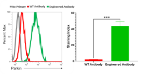Flowcytometry analysis of Parkin