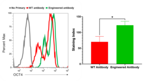 Flowcytometry analysis of OCT4