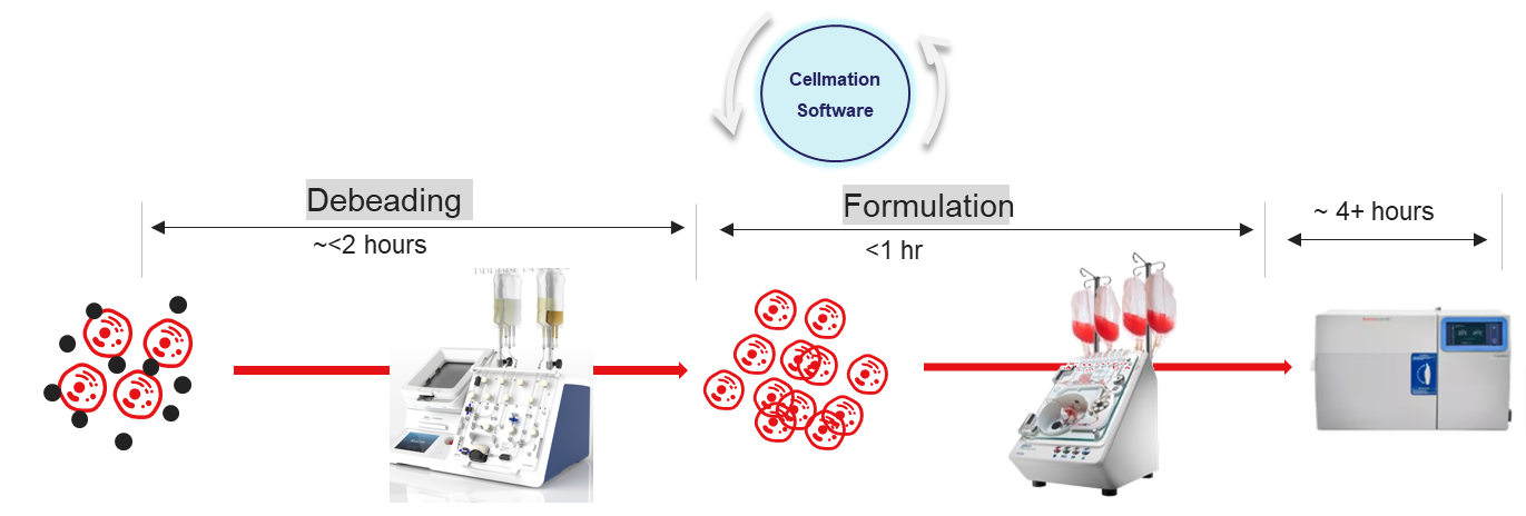 Debeading and formualtion infographic