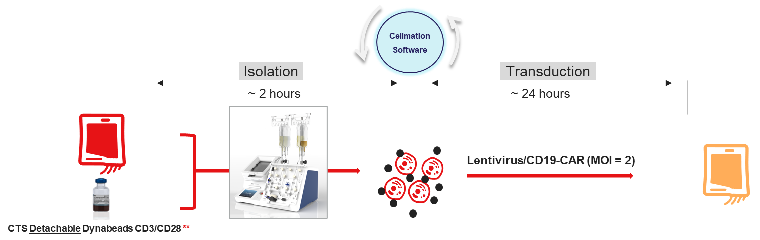 Isolation and transduction infographic 