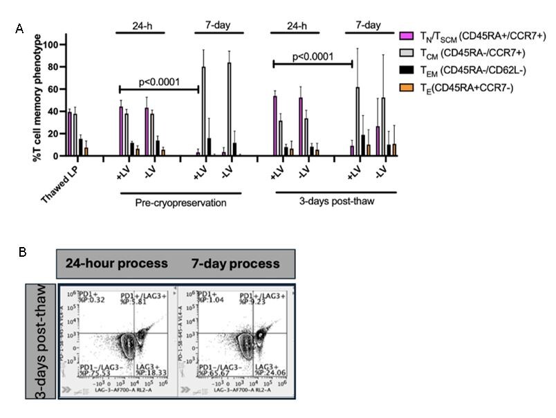 Figure with two panels (A and B) comparing T cell memory phenotype percentages and checkpoint expression under different conditions.