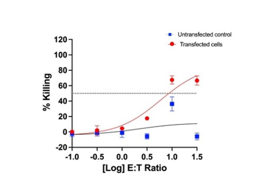 Graph showing % Killing vs. Log E:T ratio, comparing transfected (red) and untransfected (blue) cells.