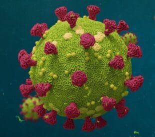 3D-rendered illustration of a spherical virus particle with a textured green surface and red spike-like structures. The background is deep blue with additional virus particles floating in the distance.