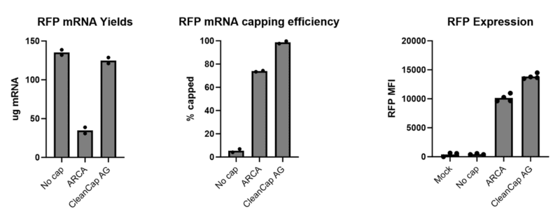 Graph comparing capping strategies, showing CleanCap Reagent AG outperforming ARCA in mRNA yield, capping efficiency, and cell function.