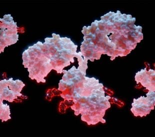 Antibody drug conjugates (ADCs)