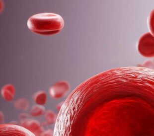 Automated cell isolation