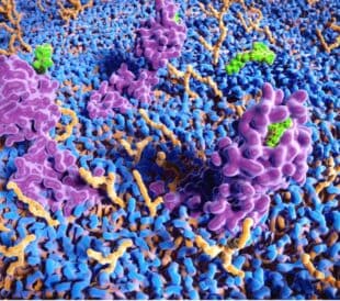 The complex structure and environment of transmembrane proteins within the lipid bilayer.