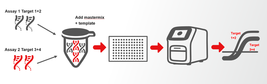 Diagram showing grouped qPCR targets combined into fewer assays within a multiplex reaction workflow.