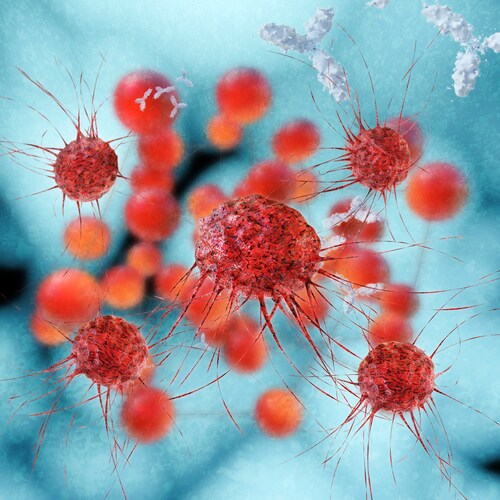 Cancer cells. Image: xrender/Shutterstock.com