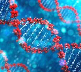 DNA. Image: Leigh Prather/Shutterstock.com