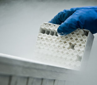 Frozen blood samples. Image: Nico Bogaards/Shutterstock.com