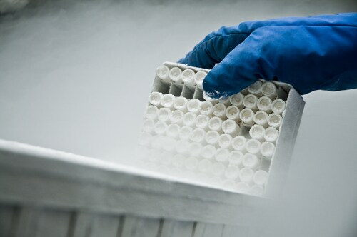 Frozen blood samples. Image: Nico Bogaards/Shutterstock.com