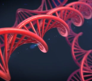 Abstract DNA. Image: elsar/Shutterstock.com