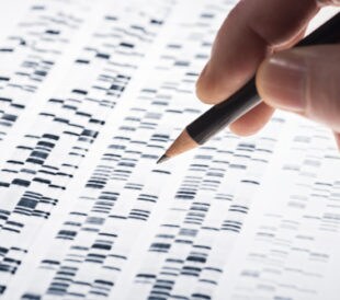 DNA sequencing. Image: gopixa/Shutterstock.com