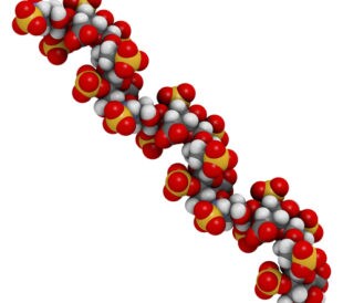 Heparin chemical structure. Image: molekuul.be/Shutterstock.com