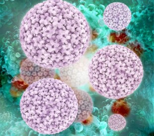 3-D rendering of HPV. Image: xrender/Shutterstock.com