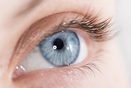 Close-up shot of eye. Image: Alexey Boldin/Shutterstock.com