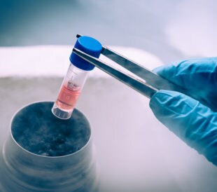 Crypreserved test tube in liquid nitrogen. Image: Elena Pavlovich/Shutterstock.com