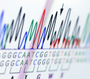 Science graph on computer screen. Image: fotohunter/Shutterstock.com.