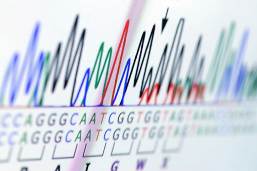 Science graph on computer screen. Image: fotohunter/Shutterstock.com.