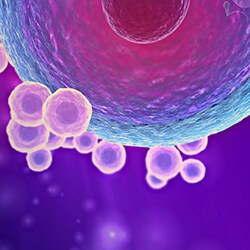 Cell_Culture_Incubator_Cleaning_Maintain_Humidity_Control