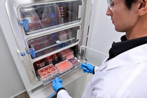 reaching into CO2 incubator