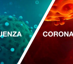 Influenza and coronavirus: Fighting the spread