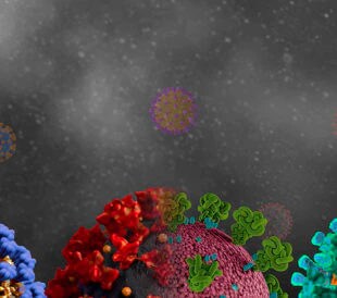 Coronavirus mutations and variants