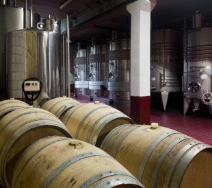 Using machine learning techniques to predict wine quality