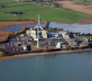 Patheon Pharma Services Cork