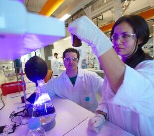Scientists working in CSIRO laboratory