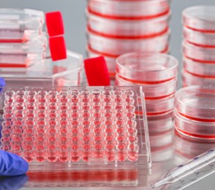 Cell culture aliquot plate