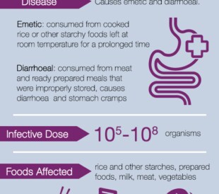 Bacillus cereus Fact Sheet Infographic