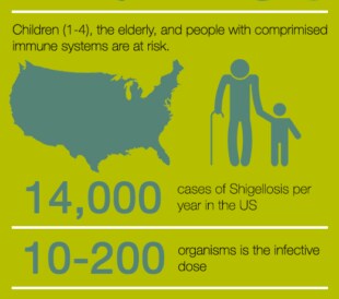 Shigella Fact Sheet Infographic