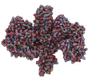 Chemical structure of a botulinum toxin molecule