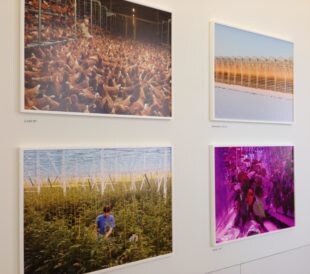 Henk Wildschut exhibition