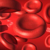 red blood cells