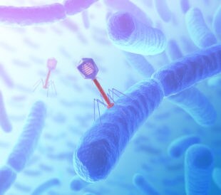 bacteriophage attack