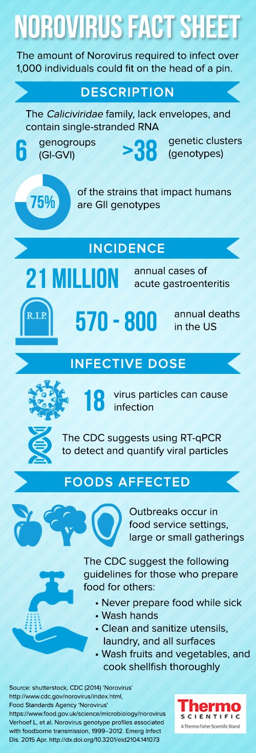 Norovirus Infographic